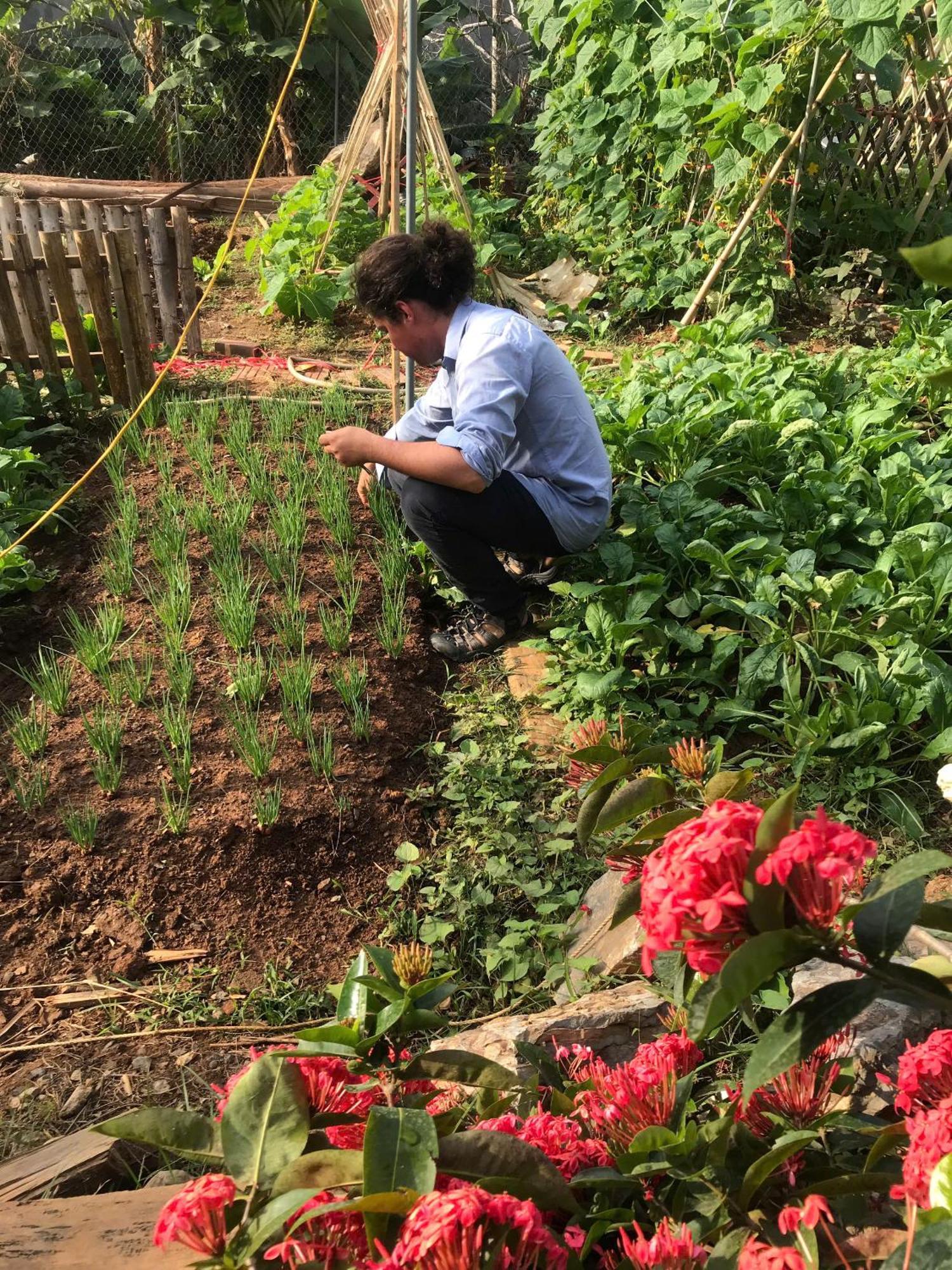 Bee Lucky Homestay Hien Hao ภายนอก รูปภาพ