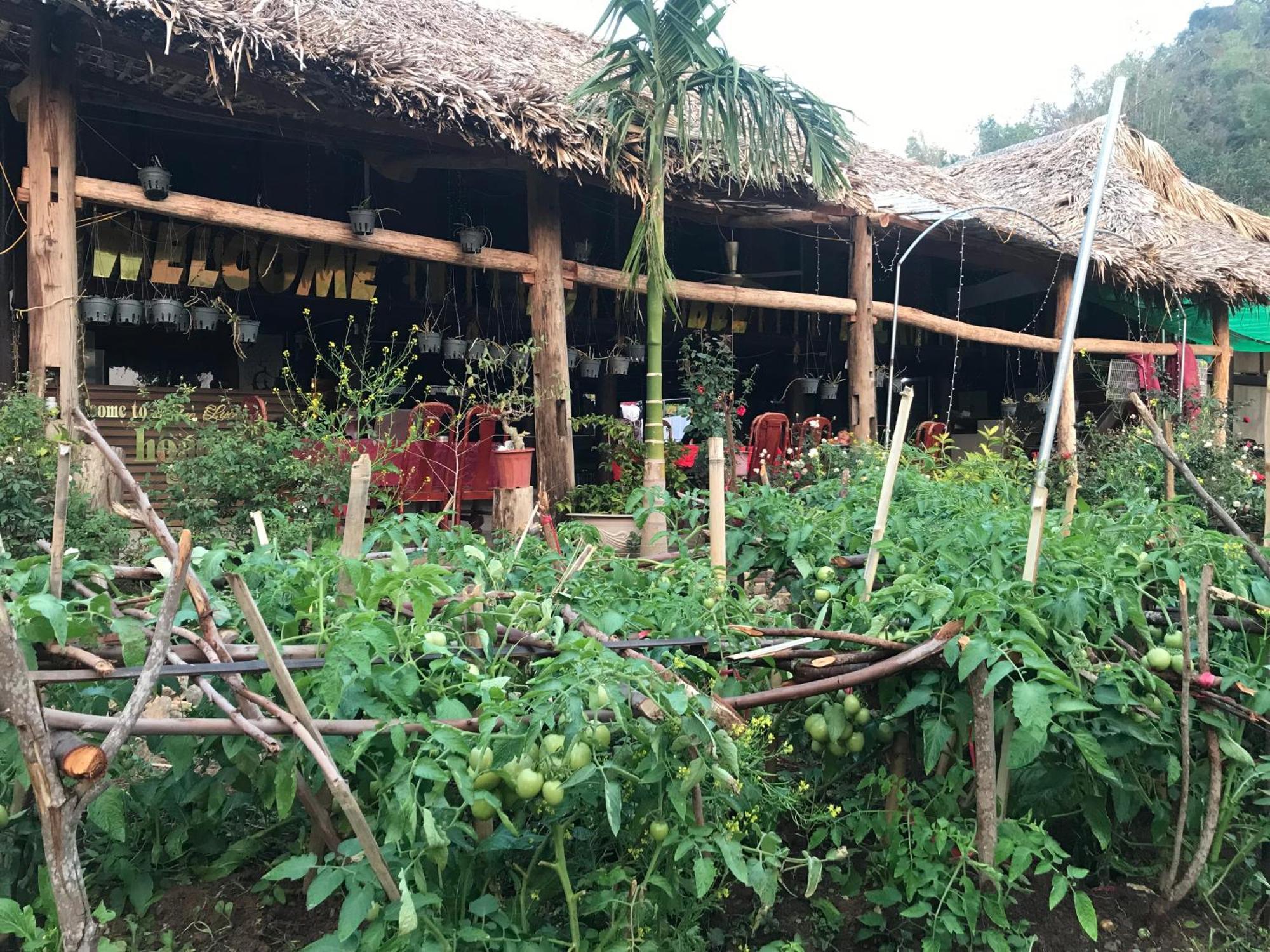 Bee Lucky Homestay Hien Hao ภายนอก รูปภาพ