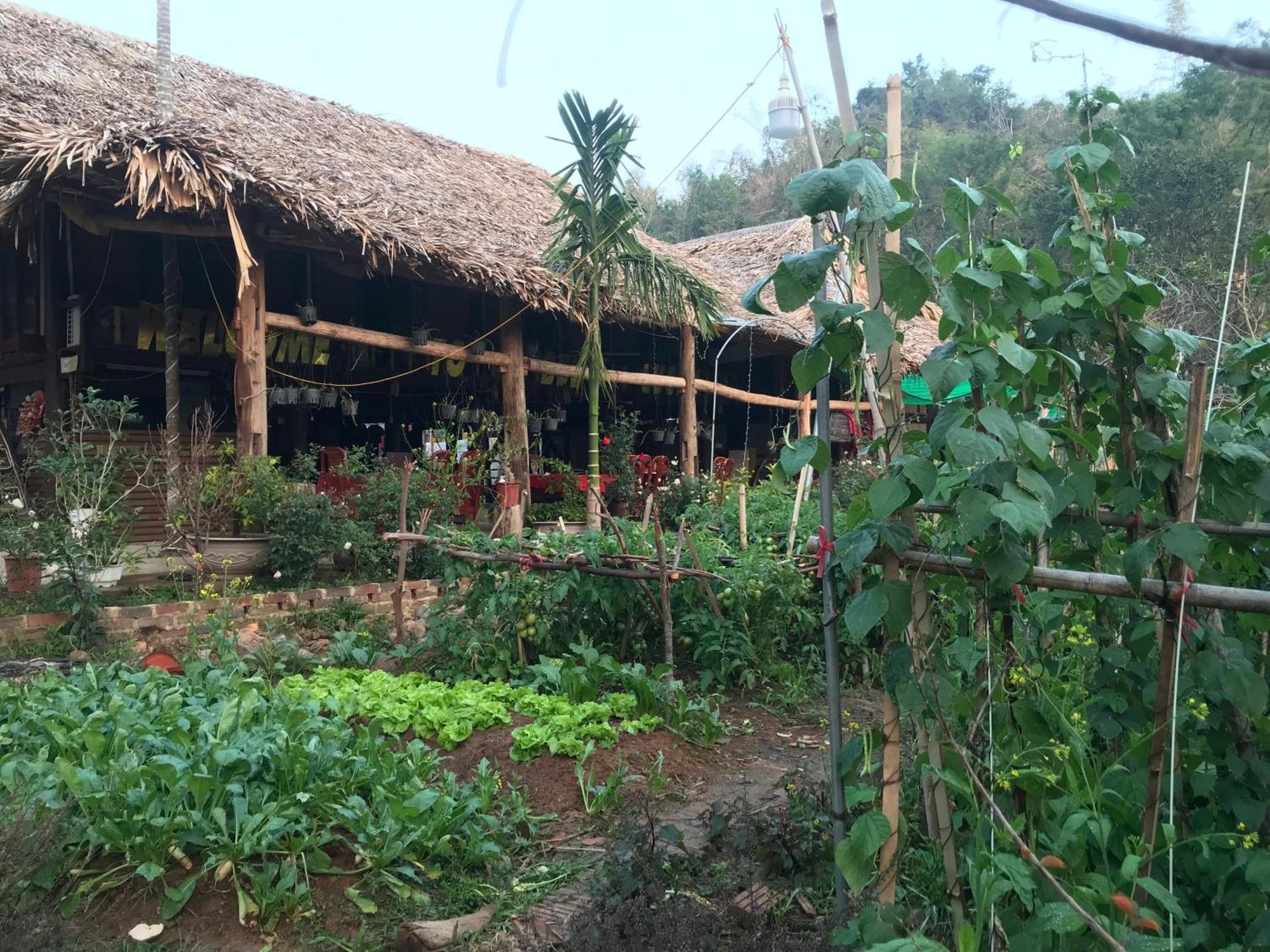 Bee Lucky Homestay Hien Hao ภายนอก รูปภาพ