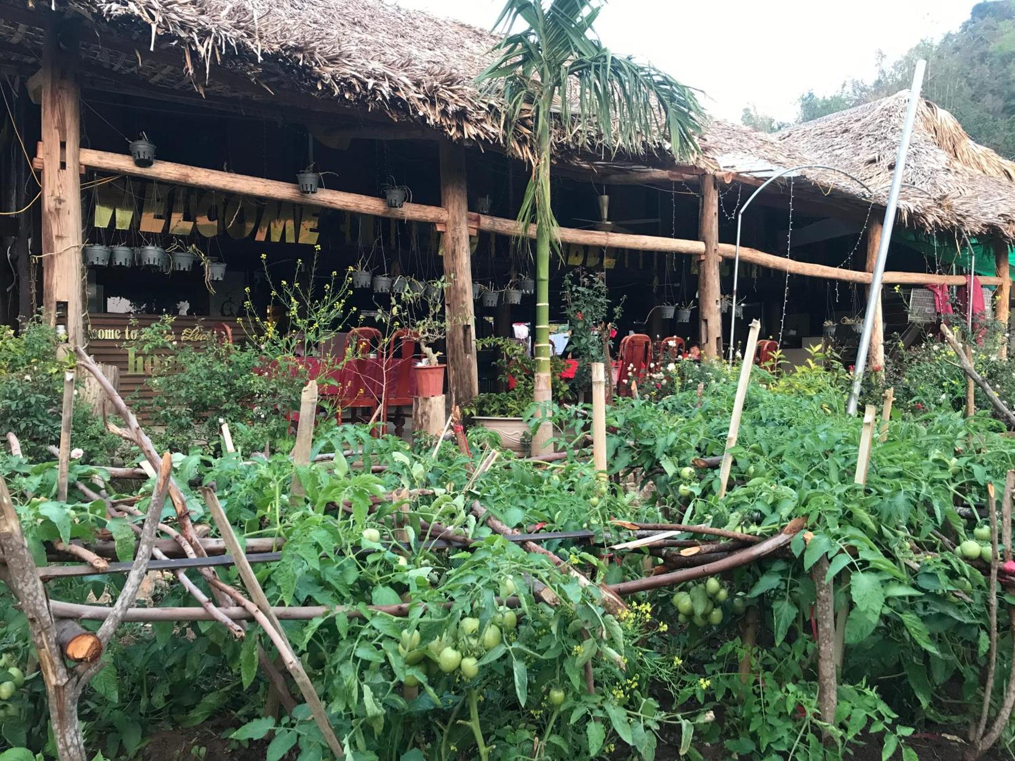 Bee Lucky Homestay Hien Hao ภายนอก รูปภาพ